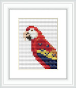 The image shows a framed cross stitch pattern depicting a colorful Ara Canga, or Macaw, positioned on a geometric grey background.