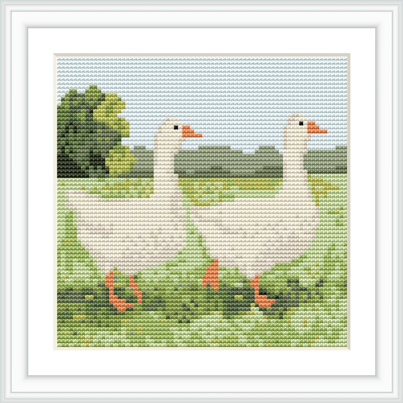 The image shows two white geese with orange beaks and feet standing on a green field, with a background of trees and a blue sky.