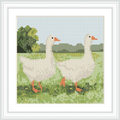 The image shows two white geese with orange beaks and feet standing on a green field, with a background of trees and a blue sky.