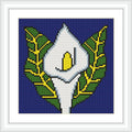 The image includes a white tulip flower with a yellow center, surrounded by green leaves, set against a dark blue background. It is framed in a white border.