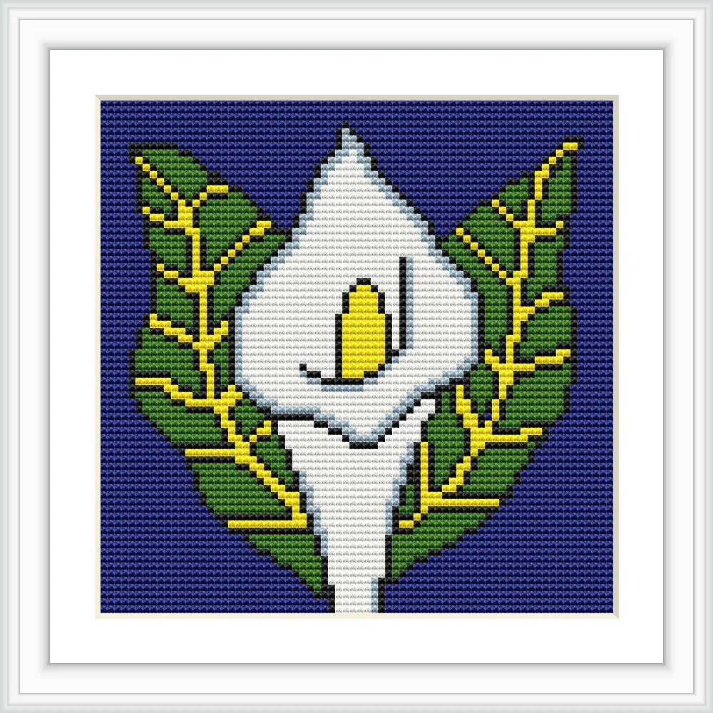 The image includes a white tulip flower with a yellow center, surrounded by green leaves, set against a dark blue background. It is framed in a white border.