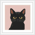 A black cat sits centered on a soft pink background, with its yellow eyes looking directly forward.