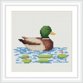 A duck with a green head is floating on a blue pond. There are green lilypads with small red flowers scattered around.
