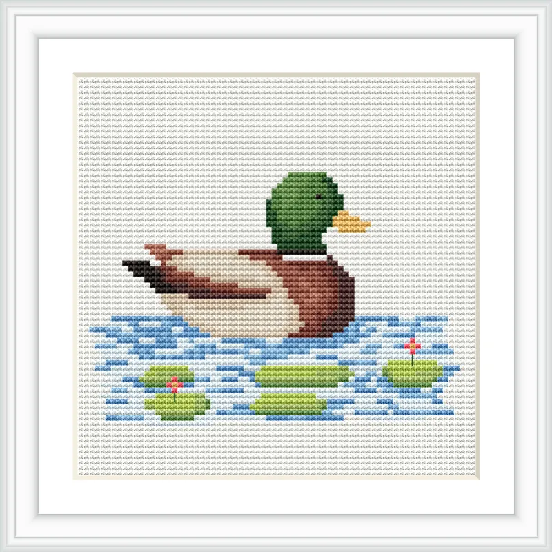 A duck with a green head is floating on a blue pond. There are green lilypads with small red flowers scattered around.