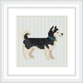 The image features a cross stitch pattern of a husky dog. The dog is standing and facing to the side. It has a blue collar.