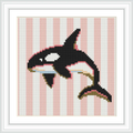 The image features an orca swimming in a horizontal orientation, set against a background of vertical pink and white stripes.