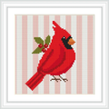 The image features a vibrant red cardinal perched with leaves and berries, set against a background of pink and white vertical stripes.