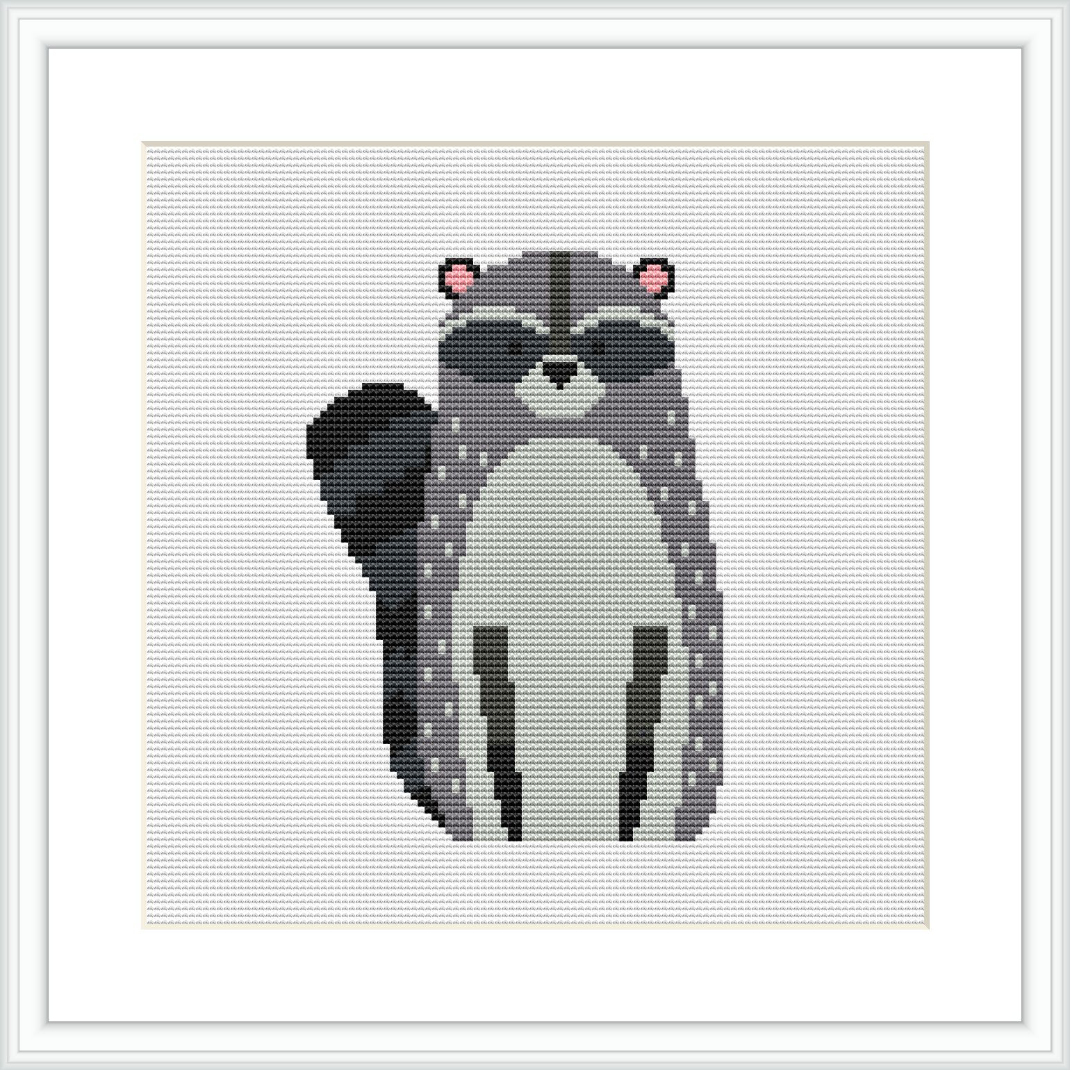 The image showcases a cross stitch pattern design featuring a raccoon in a standing position, with a white background and a grey frame around the design.