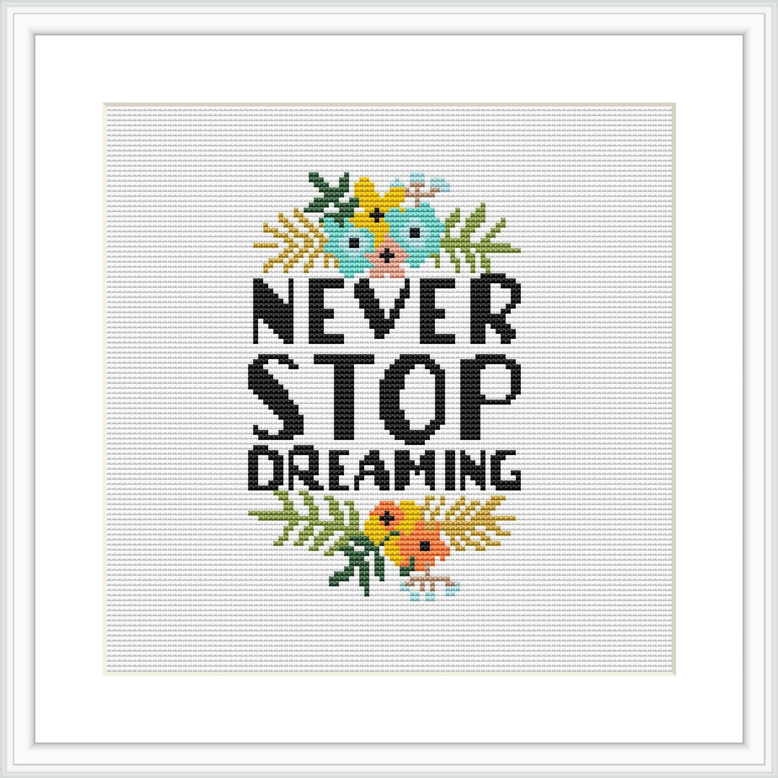 The image depicts a cross stitch pattern framed in white. It features the phrase 'NEVER STOP DREAMING' in capital letters, surrounded by a collection of stylized flowers and leaves at the top and bottom.