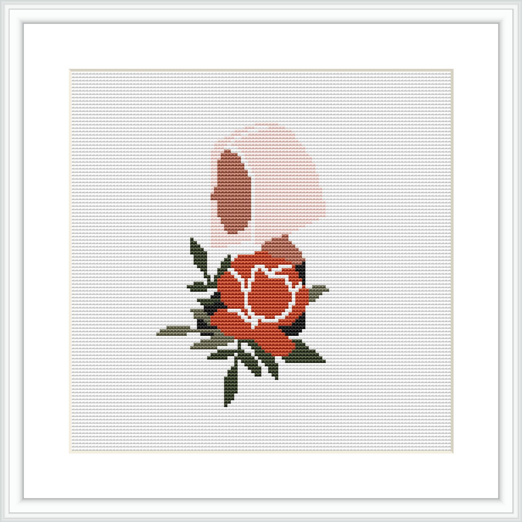 A framed cross-stitch embroidery pattern depicting a single blooming rose with buds and leaves on a white background.