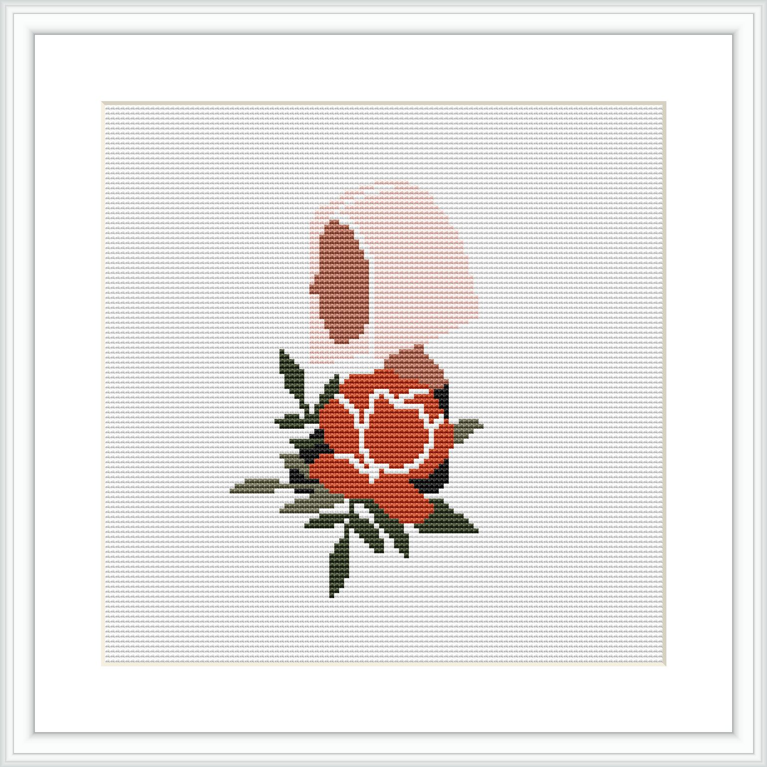 A framed cross-stitch embroidery pattern depicting a single blooming rose with buds and leaves on a white background.