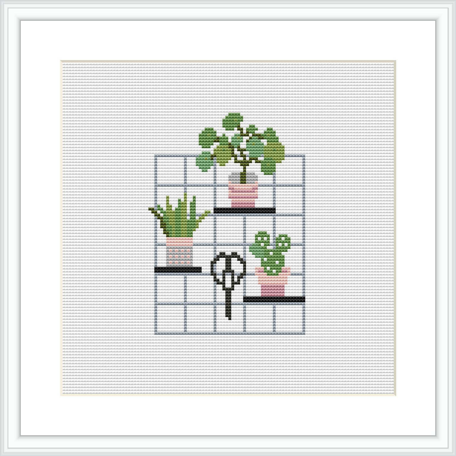 The image shows four shelves arranged in a grid each containing a different indoor plant. The shelves and the background are minimal, with a few pink accents.