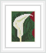 The image shows a framed cross stitch pattern with a single red calla lily against a dark green background, centered within a white frame.