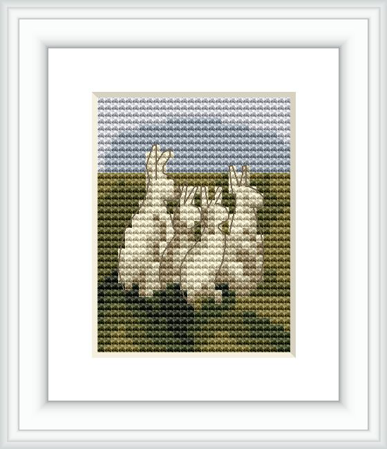 The image depicts several white bunnies standing in a field, their backs to the viewer. The sky above is blue with a subtle gradient, resembling either dawn or dusk, and the field is rendered with vegetative hues of green and brown.